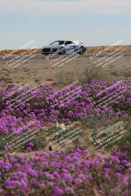 media/Jan-08-2023-SCCA SD (Sun) [[8f6a5b9391]]/Advanced Group/Session 2 (Short Straight)/